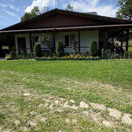 Hotel Dacha Podobovets 127 Zewnętrze zdjęcie