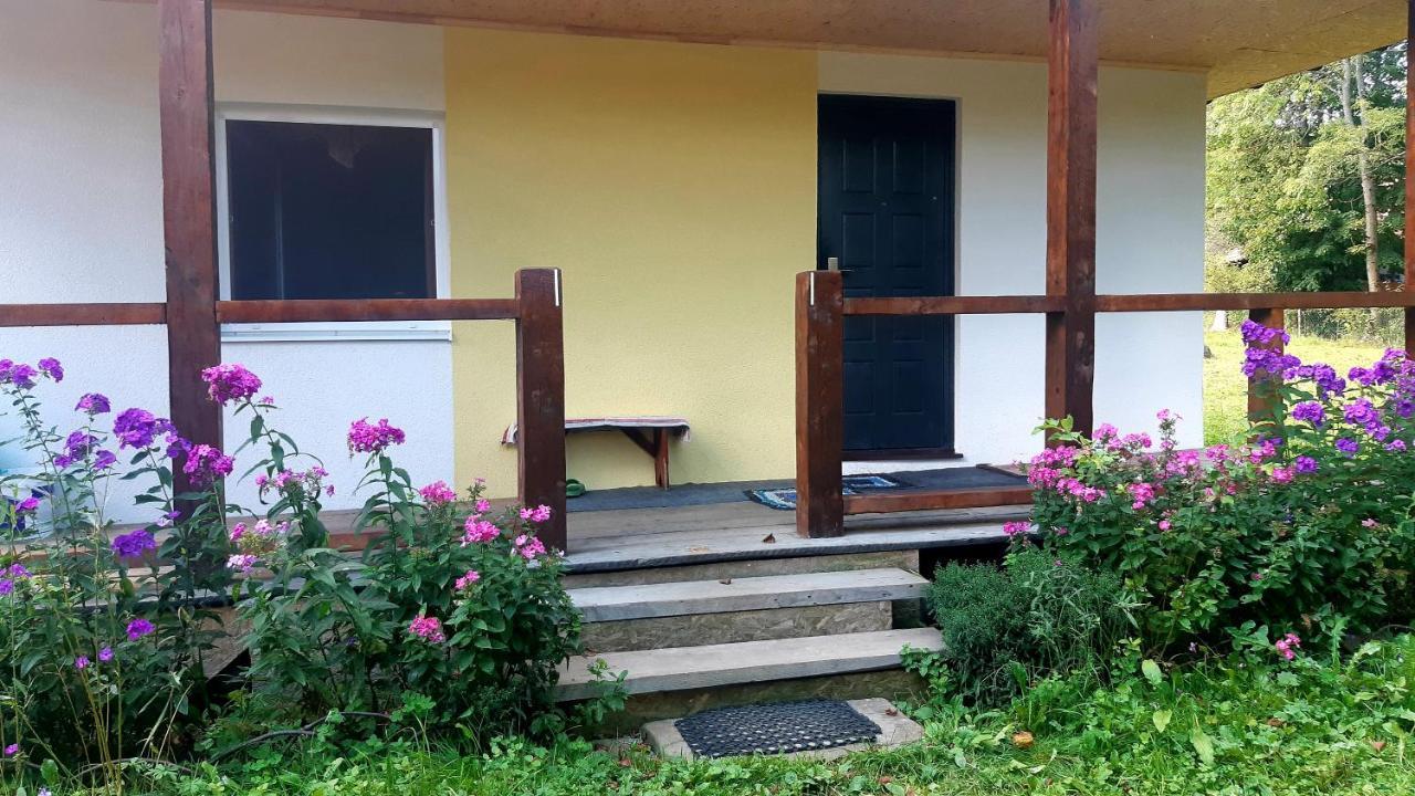 Hotel Dacha Podobovets 127 Zewnętrze zdjęcie