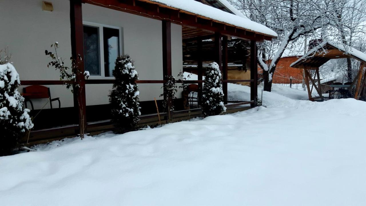 Hotel Dacha Podobovets 127 Zewnętrze zdjęcie