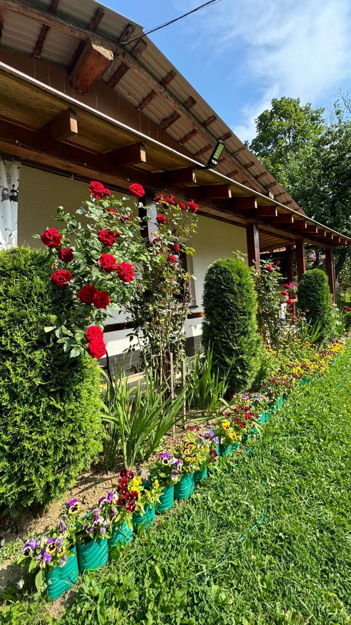 Hotel Dacha Podobovets 127 Zewnętrze zdjęcie