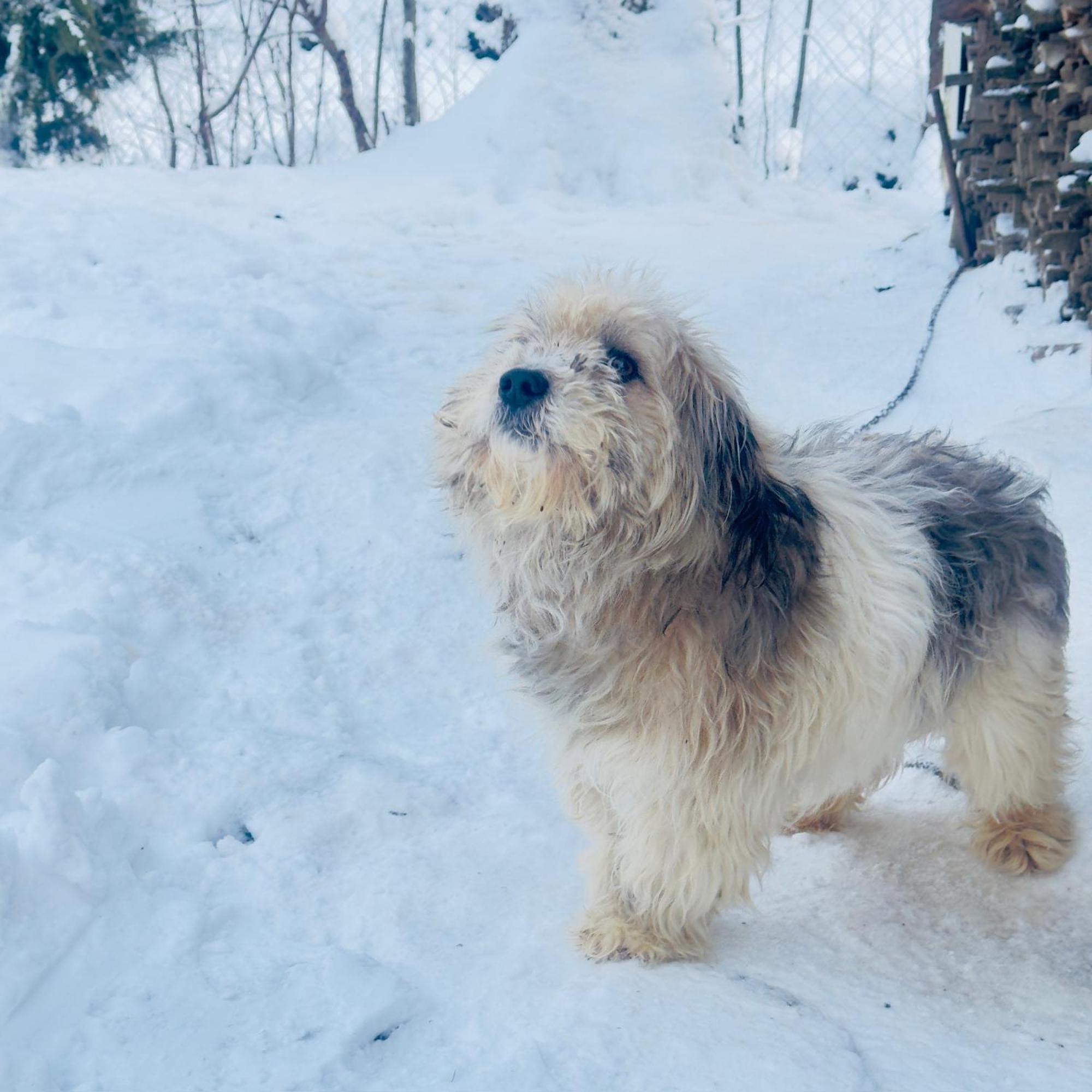 Hotel Dacha Podobovets 127 Zewnętrze zdjęcie